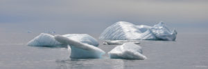 Icebergs au Groenland