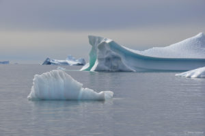 Icebergs au Groenland