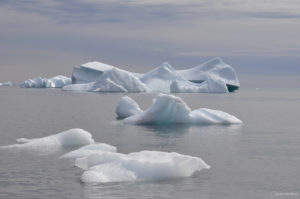 Icebergs au Groenland