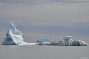 Icebergs au Groenland