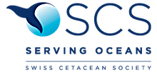 Engagement - Logo SCS